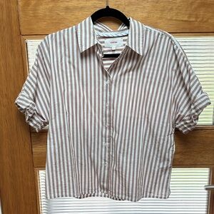 Xirena cafe teddy shirt